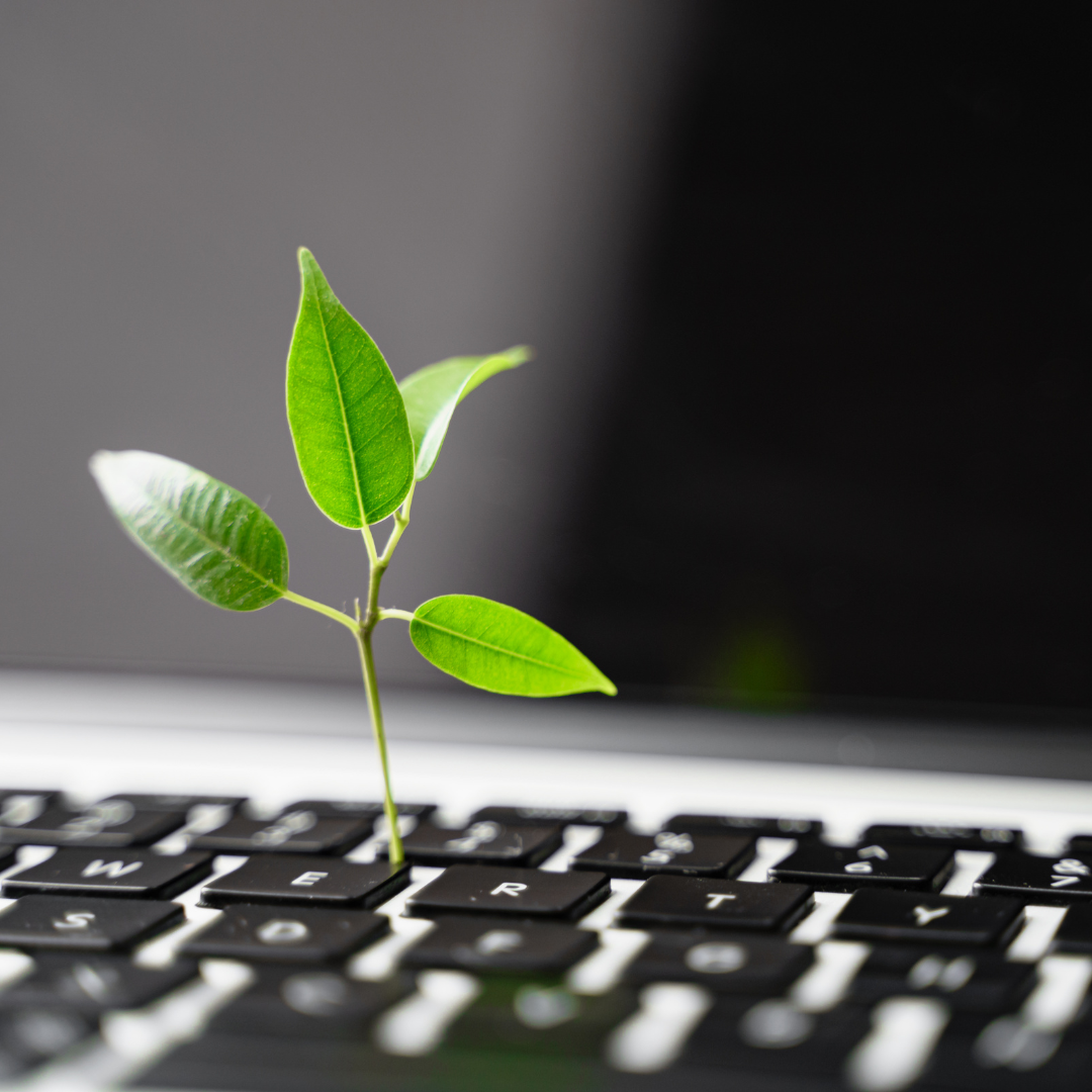 Sustainability in marketing, the shift towards greener practices