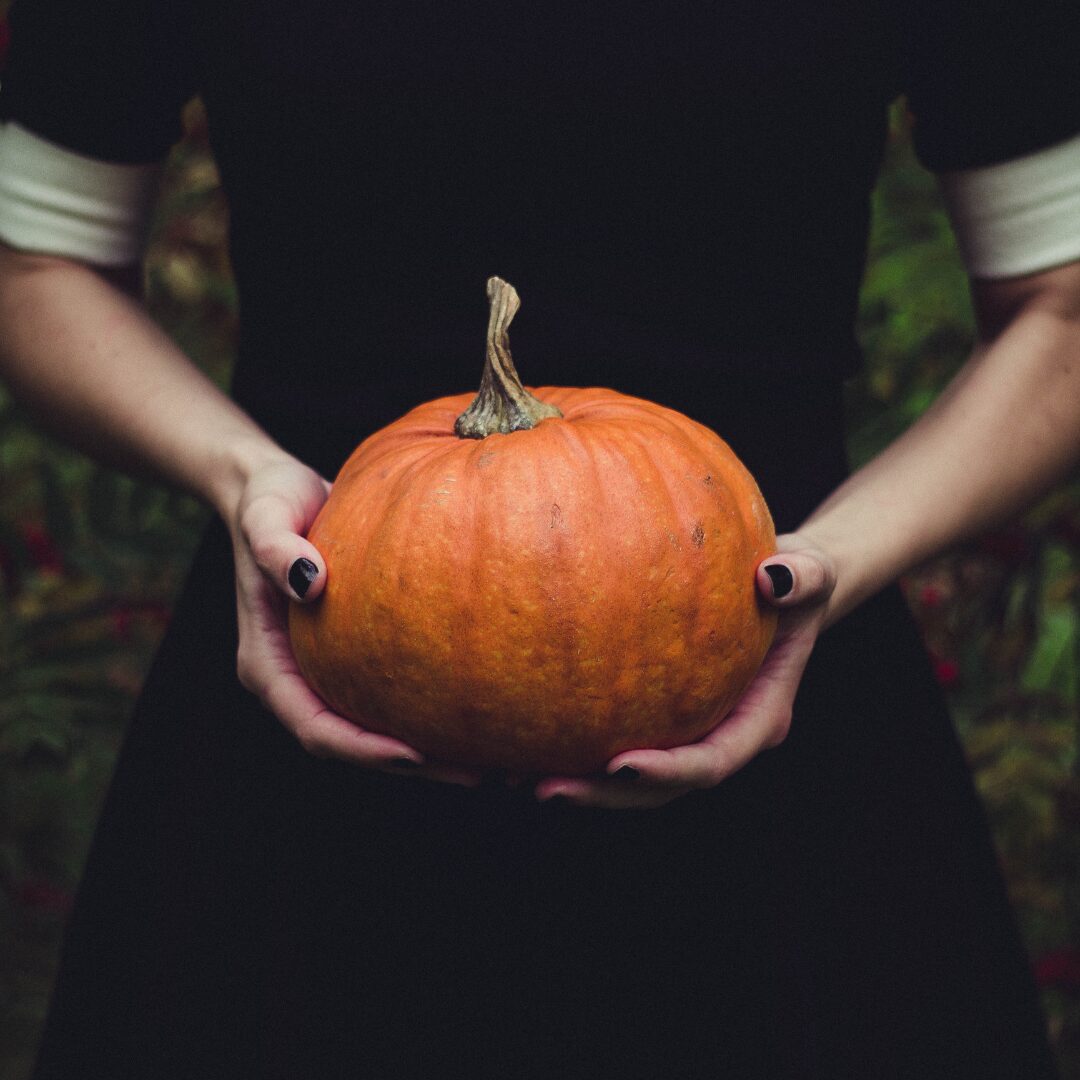 My Top 5 Halloween Campaigns for Spooky Season